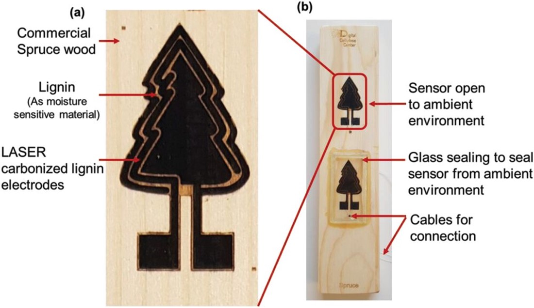 Bio-based moisture sensor for wood